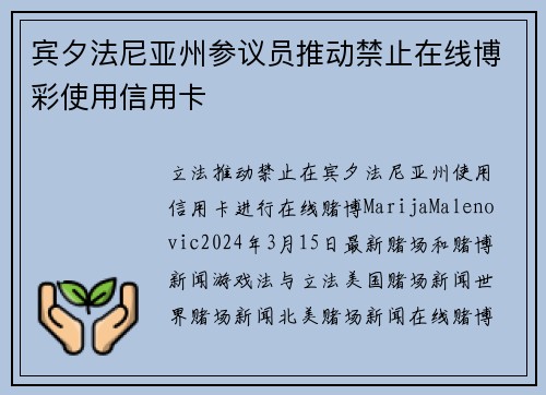 宾夕法尼亚州参议员推动禁止在线博彩使用信用卡